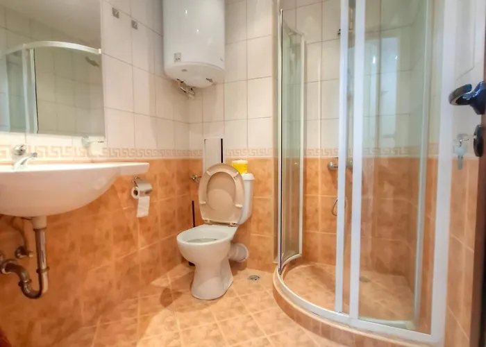 Nevena 206 B&p 公寓 班斯科